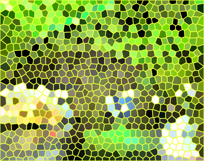 湖北咸宁竹子博物馆景点介绍1