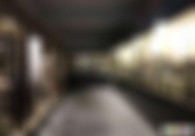 湖北武汉壶语堂博物馆景点介绍1