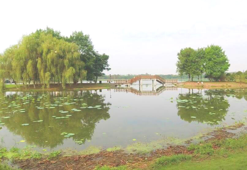 湖北荆州龙渊湖公园景点介绍1