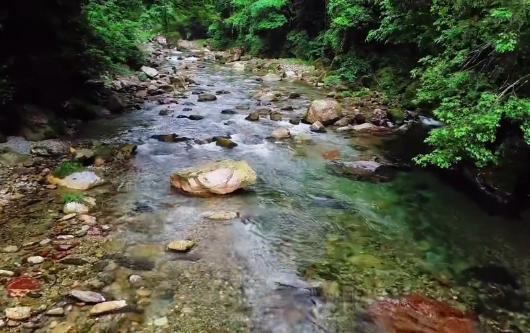 湖北湖北旅游阴峪河风景区景点介绍1