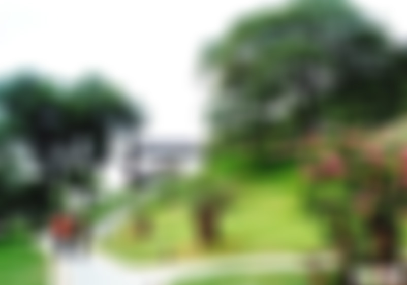 湖北武汉黄鹤楼紫薇苑景点介绍1