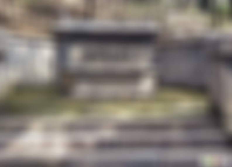 湖北武汉祢衡墓景点介绍1