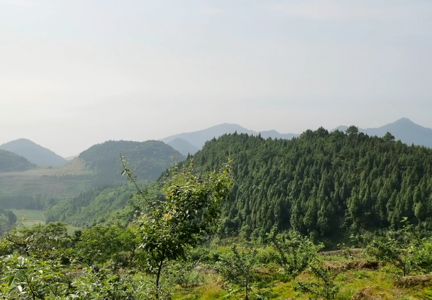 湖北十堰望佛山风景区景点介绍1