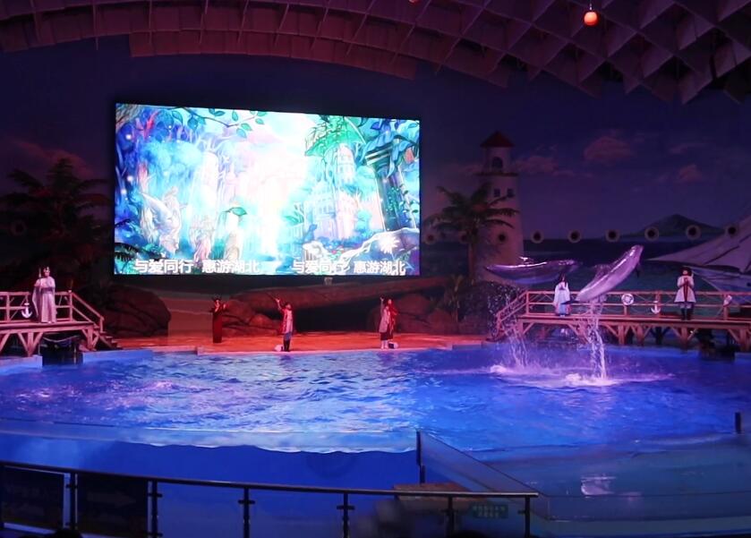 湖北武汉海昌极地海洋公园景点介绍1