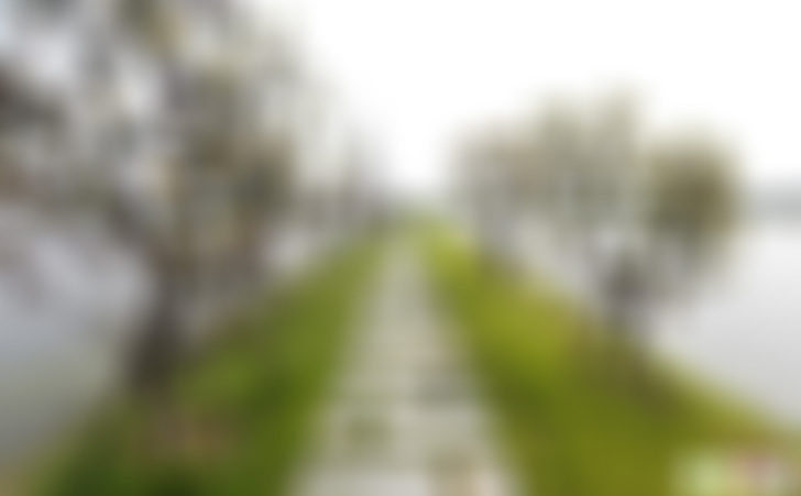 湖北武汉竹叶海公园景点介绍1