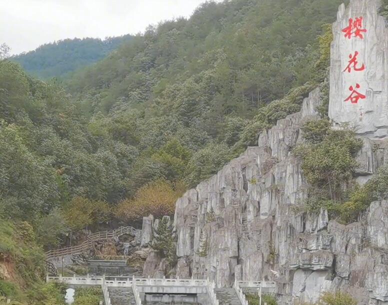 湖北十堰天河樱花谷景点介绍1