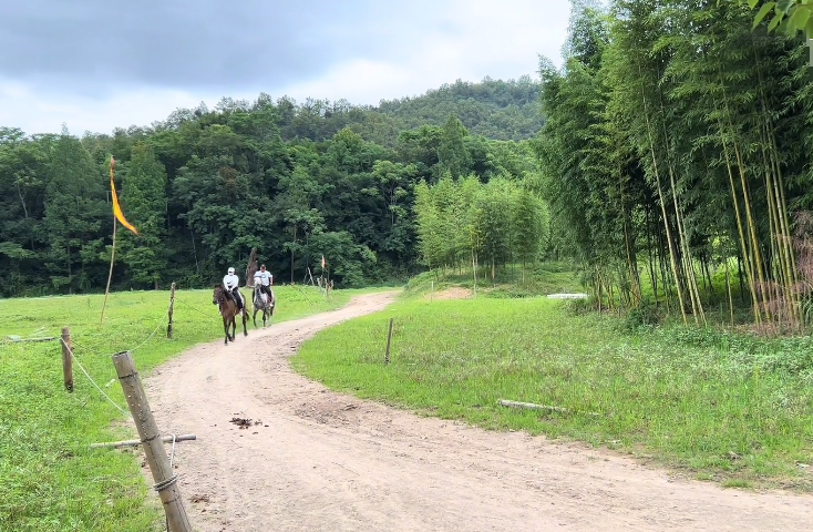 湖北湖北旅游清风马场景点介绍1