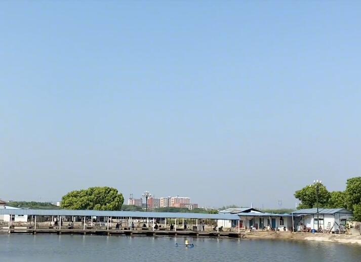 湖北武汉汤逊湖山庄景点介绍1