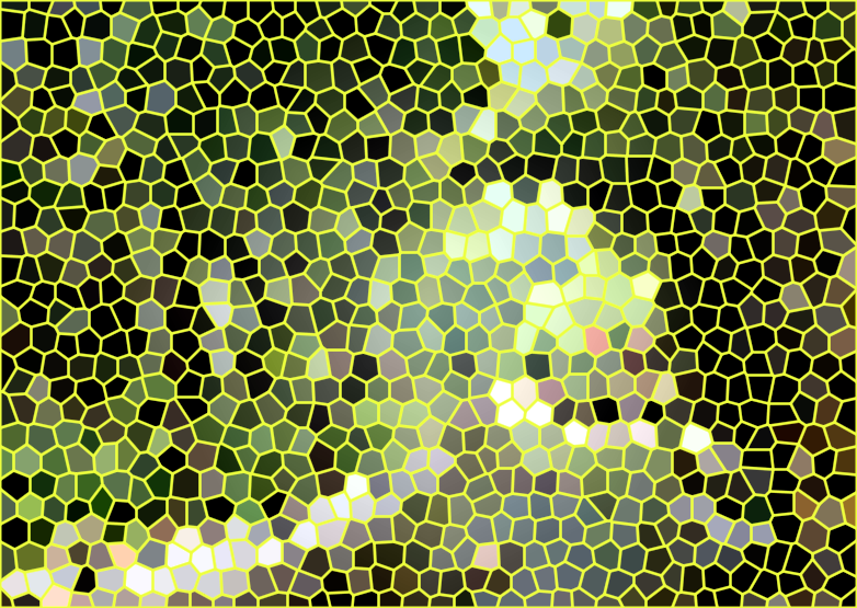 湖北咸宁随阳竹海景点介绍1