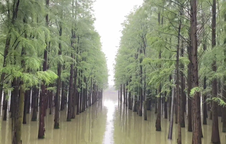 湖北黄石黄石市博物馆景点介绍1