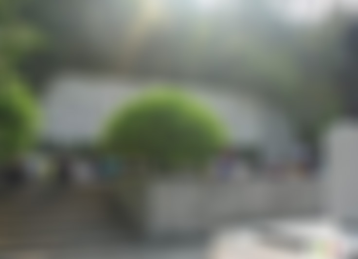 湖北宜昌河心公园景点介绍1