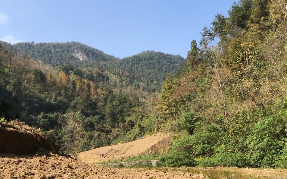 湖北恩施九盘沟风景区景点介绍1