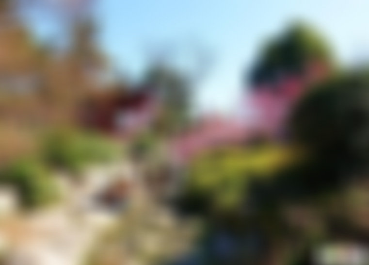 湖北武汉东湖梅园景点介绍1