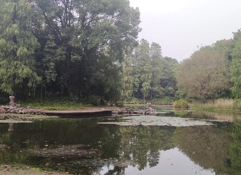 湖北武汉武汉植物园景点介绍1