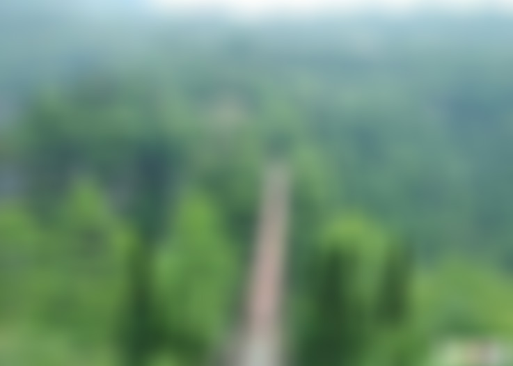 湖北宜昌兰草谷风景区景点介绍1