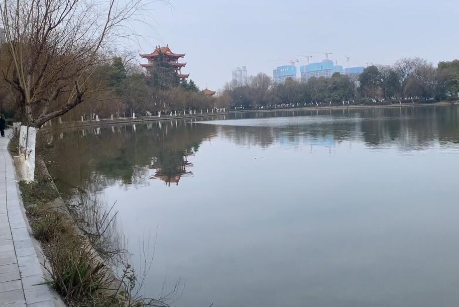 湖北荆州沙市中山公园景点介绍1