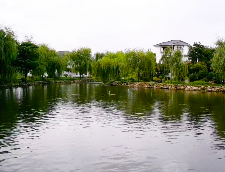 湖北孝感大唐生态观光园景点介绍1