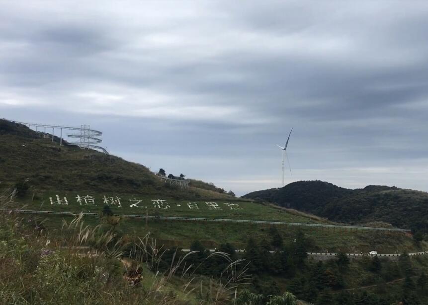 湖北宜昌百里荒高山草原景点介绍1