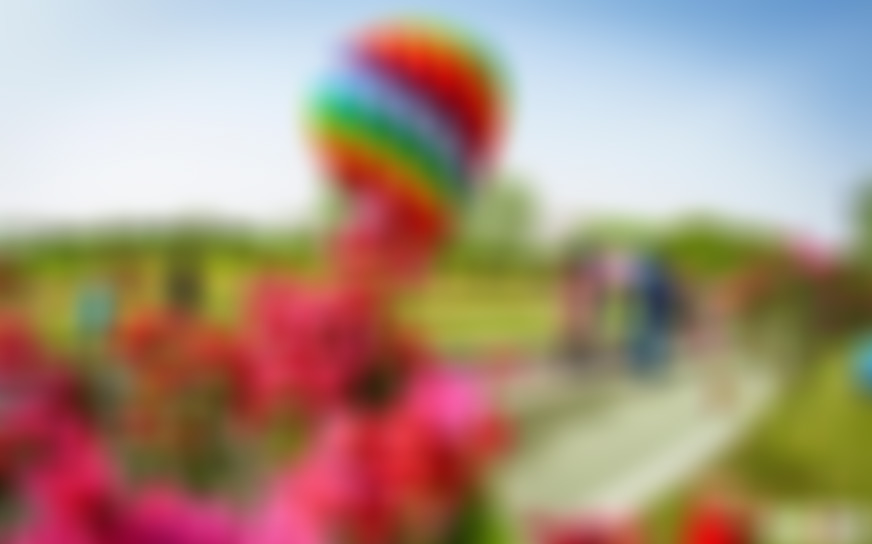 湖北武汉武汉花世界景点介绍1