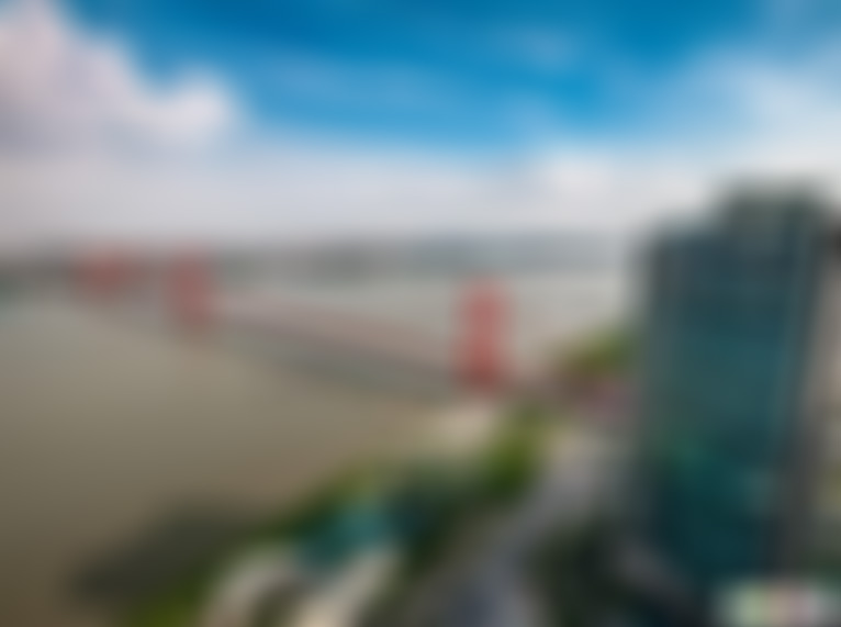 湖北武汉鹦鹉洲长江大桥景点介绍1