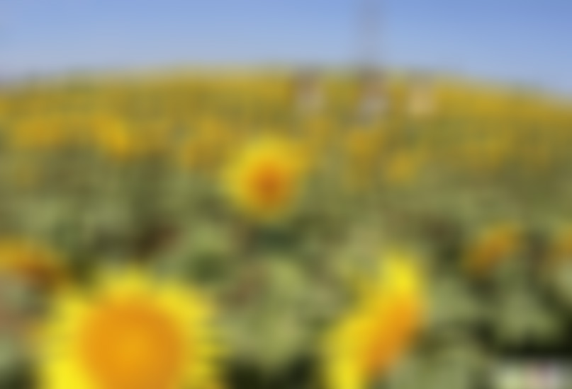 湖北宜昌龙潭河风景区景点介绍1