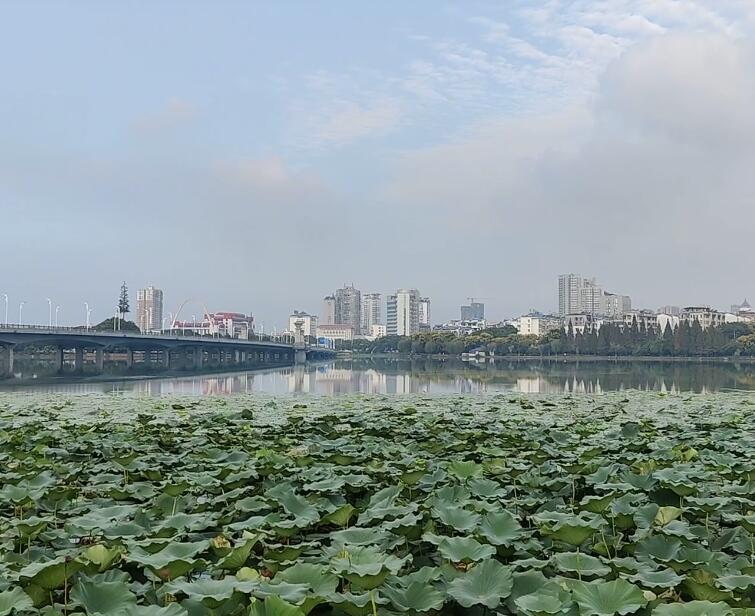 湖北十堰武当琴人谷景点介绍1