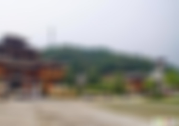 湖北武汉郁金香主题公园景点介绍1