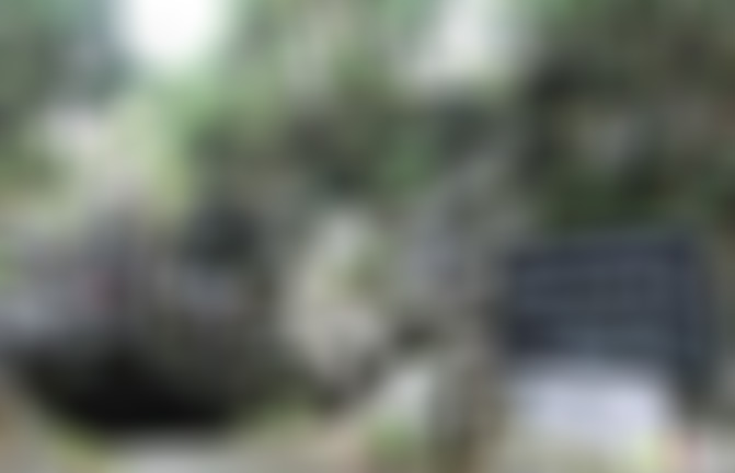 湖北宜昌长阳人遗址景点介绍1