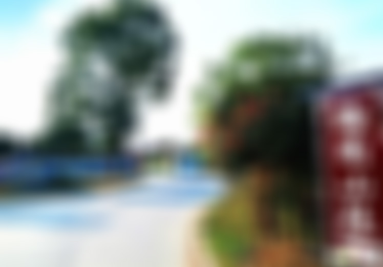 湖北宜昌梅园山庄景点介绍1