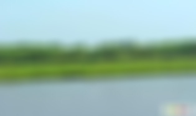 湖北武汉上涉湖省级湿地公园景点介绍1