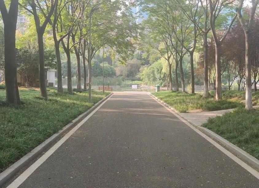 湖北武汉和平公园景点介绍1