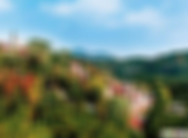 湖北武汉木兰三台山风景区景点介绍1