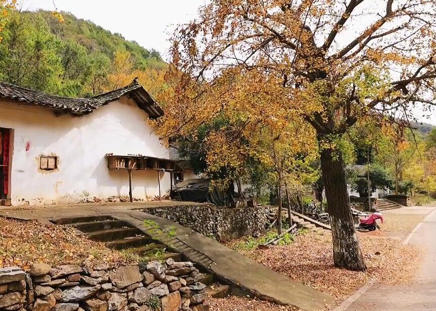 湖北黄冈英山红叶谷景点介绍1