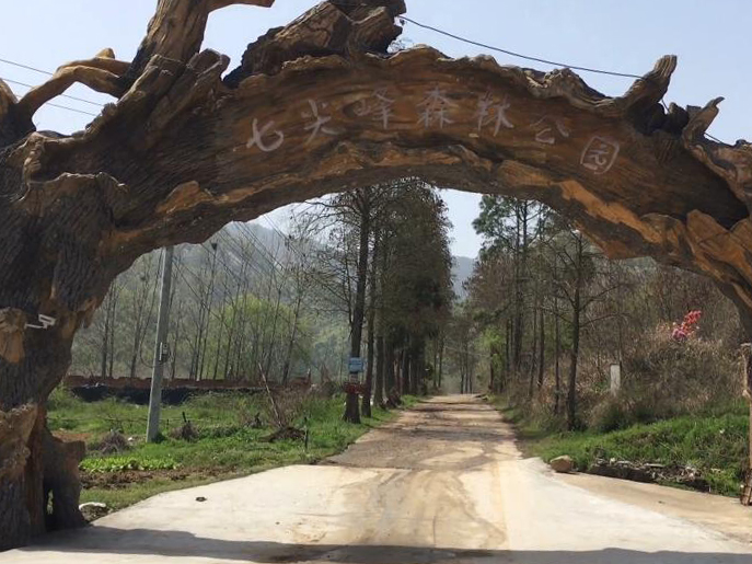 湖北黄石仙岛湖玻璃悬空栈道景点介绍1