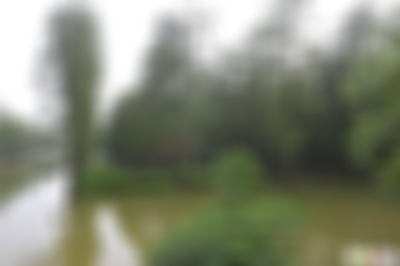 湖北武汉涨渡湖湿地景点介绍1