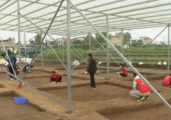湖北湖北旅游石家河文化遗址景点介绍1