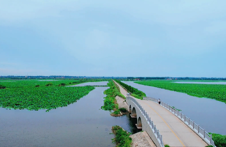 湖北荆州崇湖国家湿地公园景点介绍1