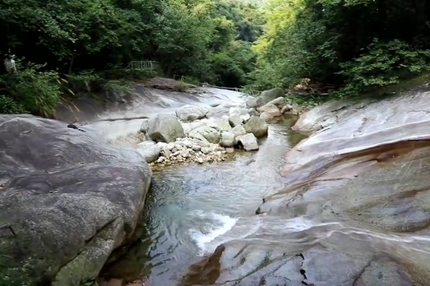 湖北宜昌玉泉花海景点介绍1