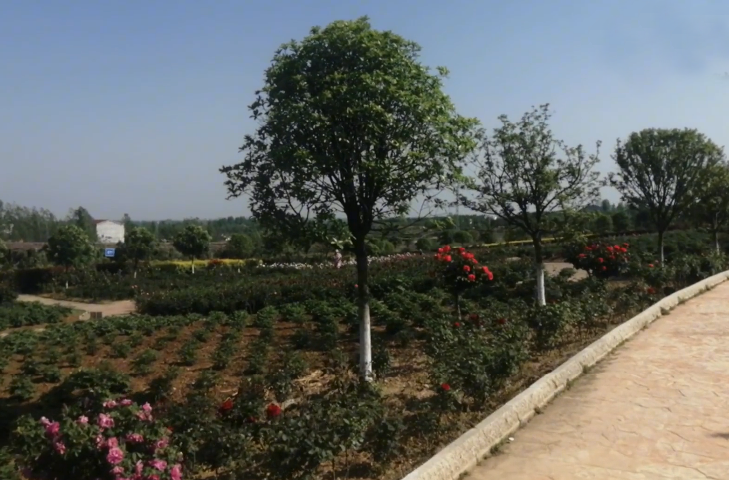 湖北黄冈玫瑰谷漂流景点介绍1