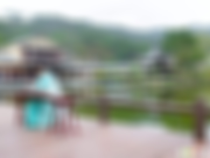 湖北武汉野村谷郊野度假公园景点介绍1