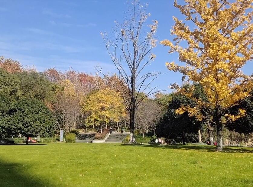 湖北武汉王家墩公园景点介绍1