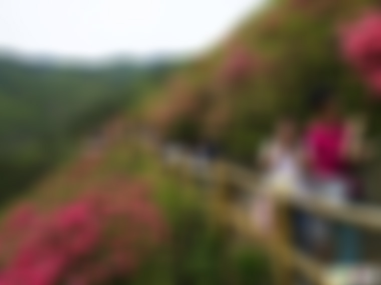 湖北武汉云雾山风景区景点介绍1