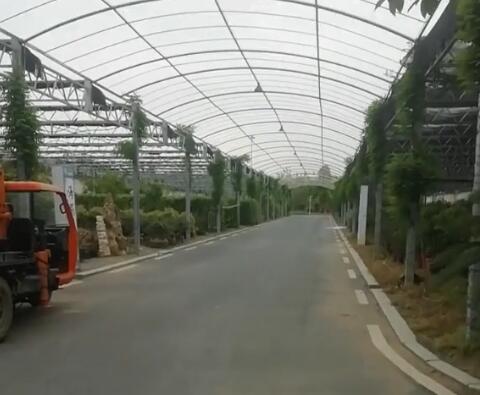 湖北襄阳华中绿谷景点介绍1