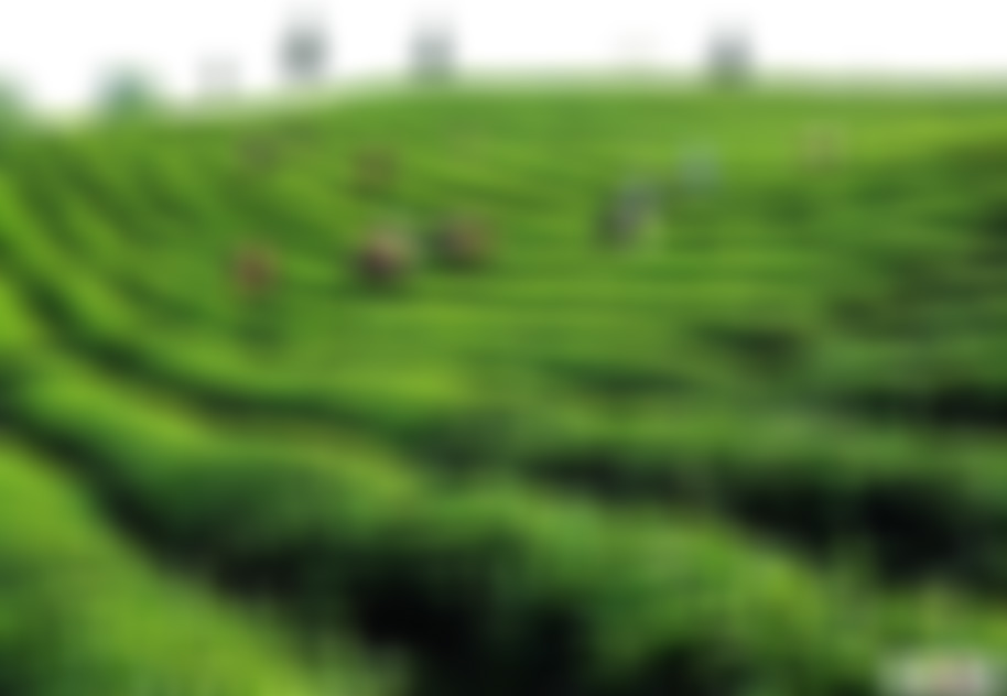 湖北武汉姚家山风景区景点介绍1