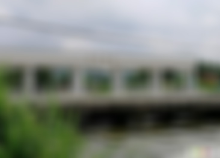 湖北武汉金水闸风景区景点介绍1