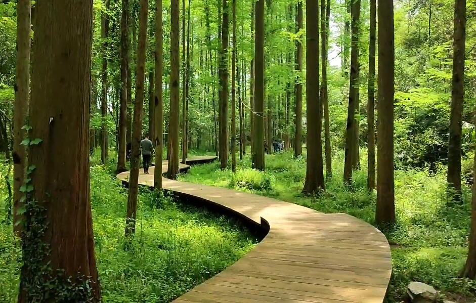 湖北襄阳梨花湖风景区景点介绍1