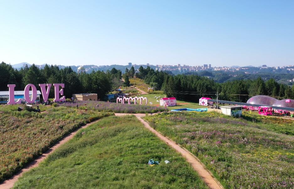 湖北襄阳普罗旺斯薰衣草庄园景点介绍1