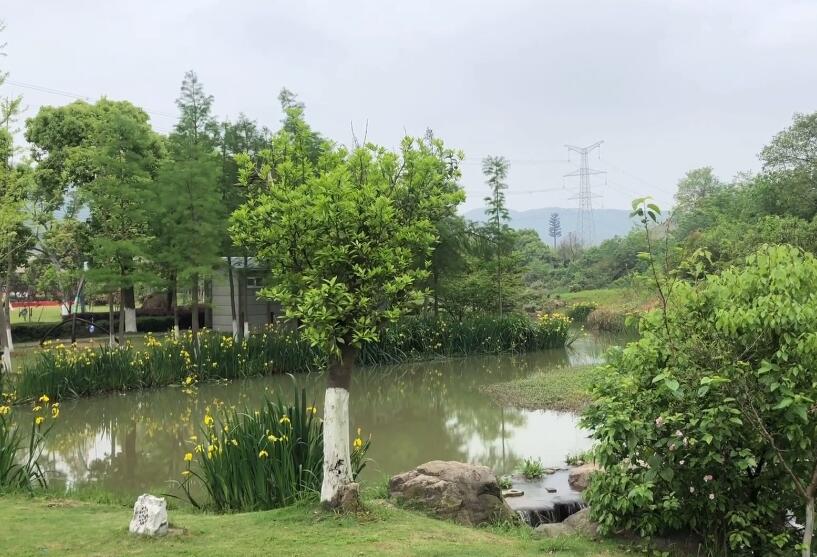 湖北武汉九真桃源风景区景点介绍1