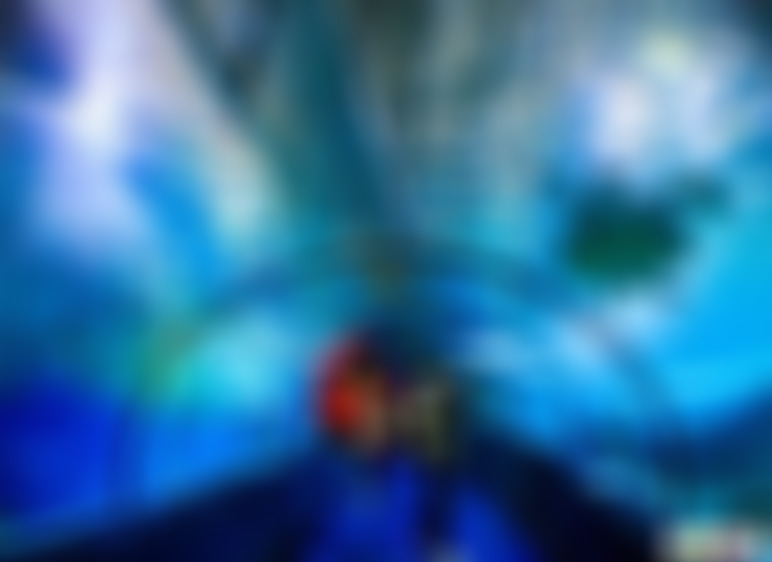 湖北武汉东湖海洋世界景点介绍1