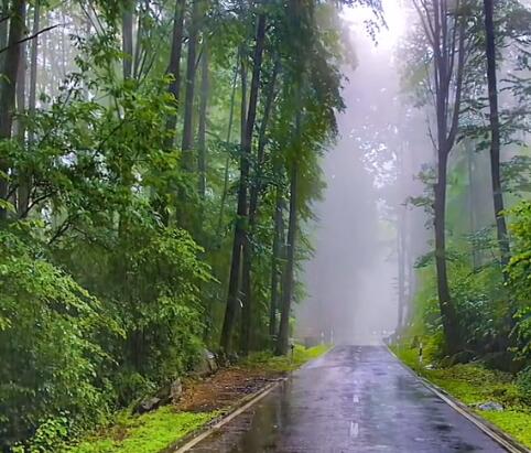 湖北襄阳蜡梅谷景点介绍1